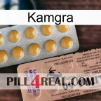 Kamgra 41